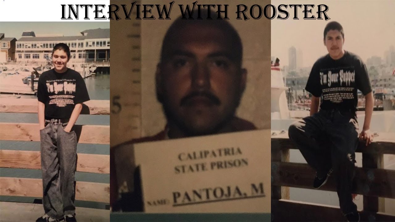 Rooster Interview
