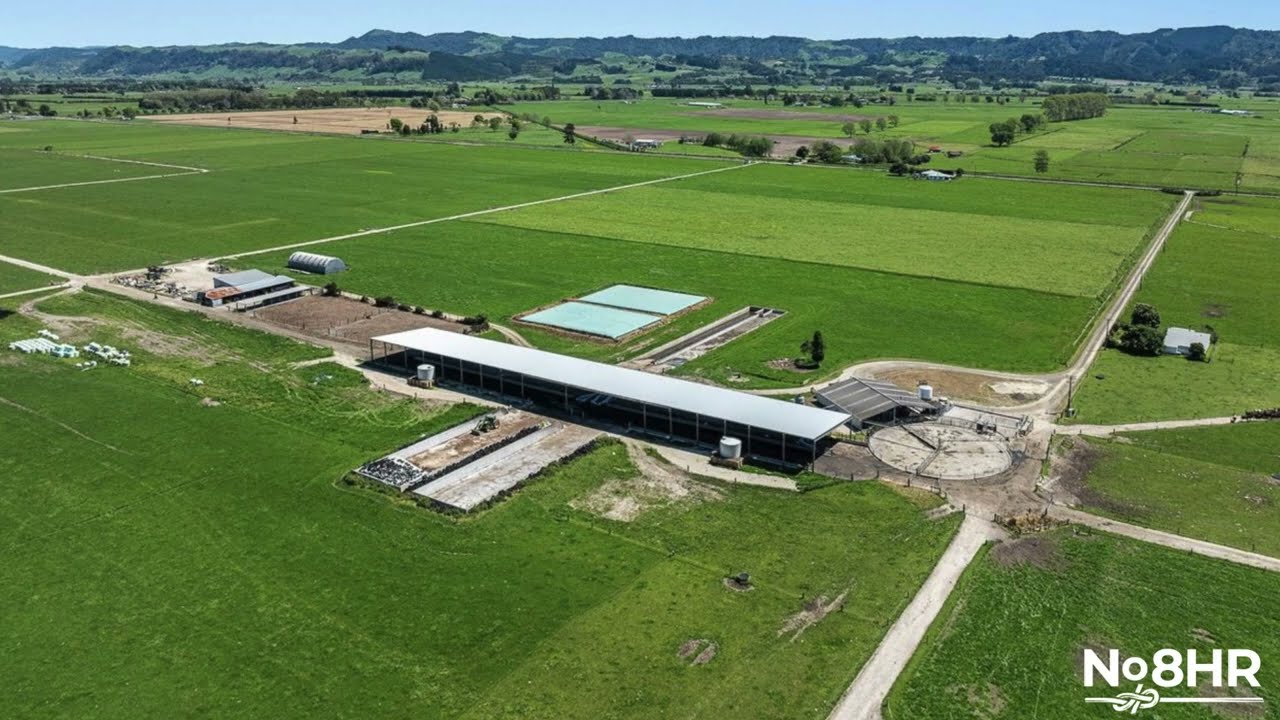 Partner in Performance - Lower-Order Sharemilking, Edgecumbe