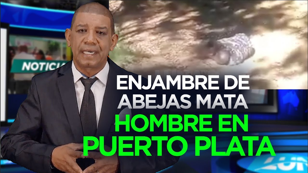 ENJAMBRE DE ABEJAS SE ACABA CON UN HOMBRE EN PUERTO PLATA