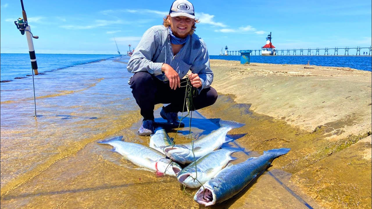 Pier Fishing GIANT Steelhead - QUICK LIMITS!!!