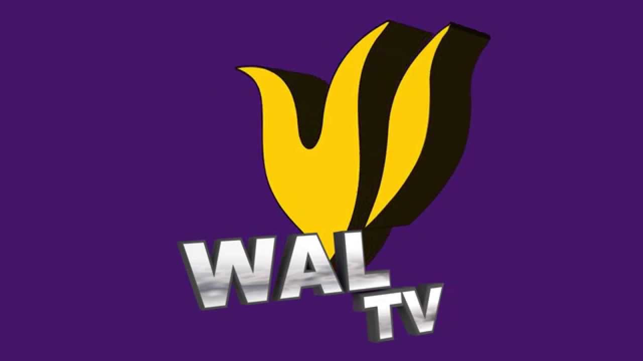 WalTV Bumper Flame