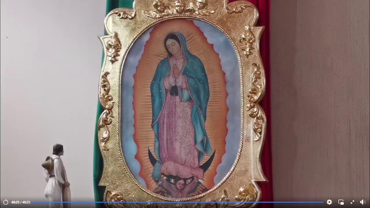 Santa Misa  De Hoy Miercoles 11 de Febrero de 2026 misa de enfermos