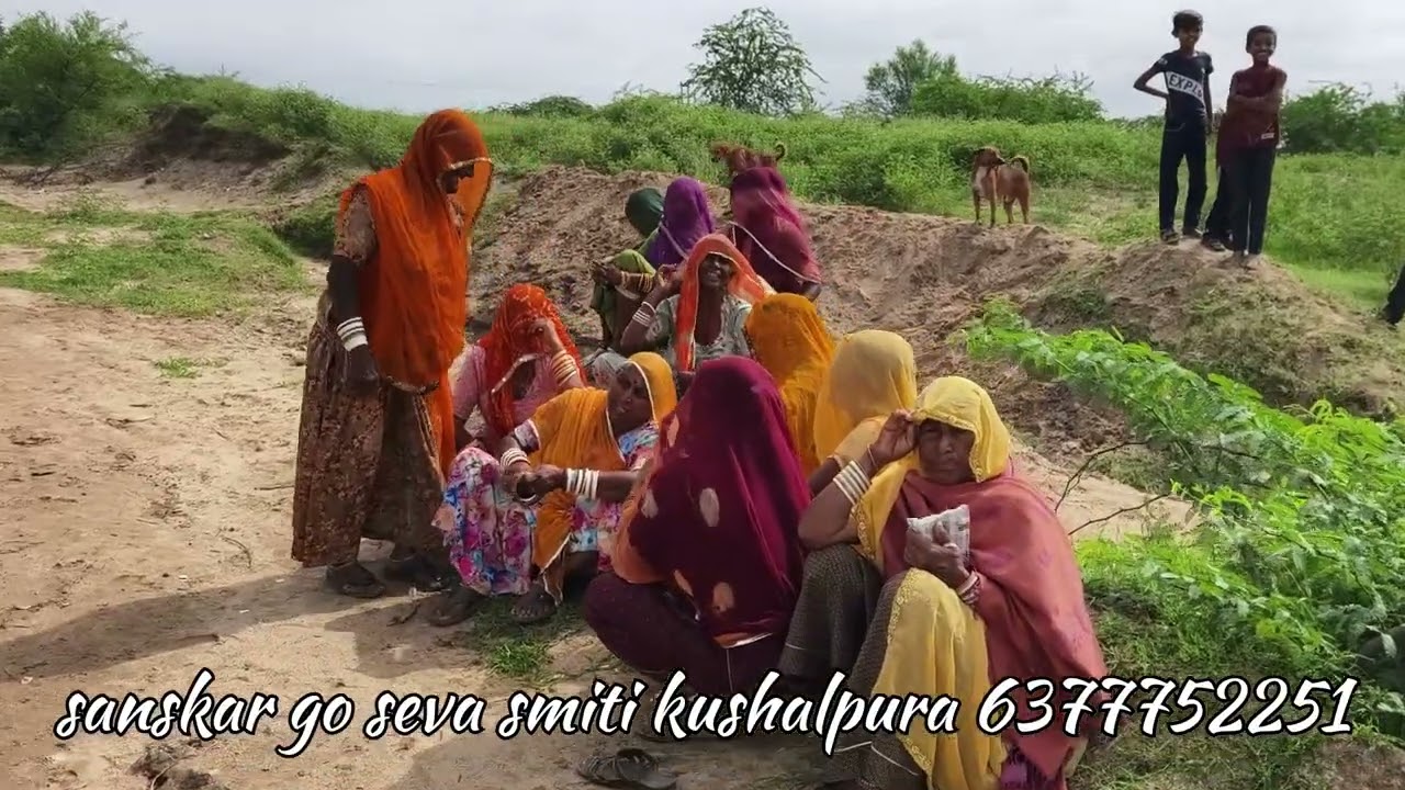 दिल थाम कर इंतजार कीजिए शाम तक लुणी नदी कुशालपुरा पहुंचने वाली है भीछडी पार हो गई है #नदी
