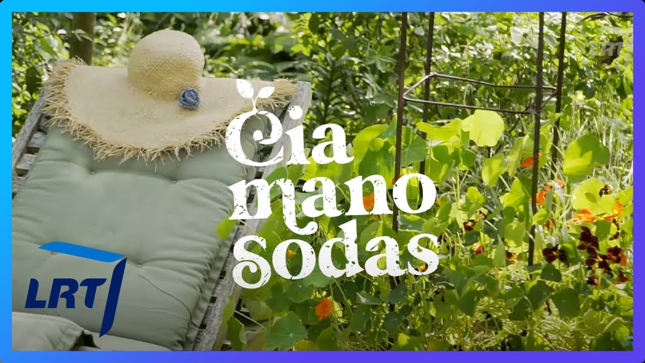 Čia mano sodas. Kambariniai augalai kaip hobis, naujos pomidorų veislės ir kaip pasirinkti tinkamus