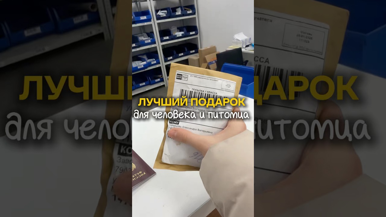 слепок носика для Мамы🐶🥹 #влог #слепокноса #пудель