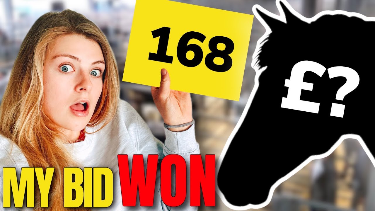 I BOUGHT A HORSE AT AUCTION