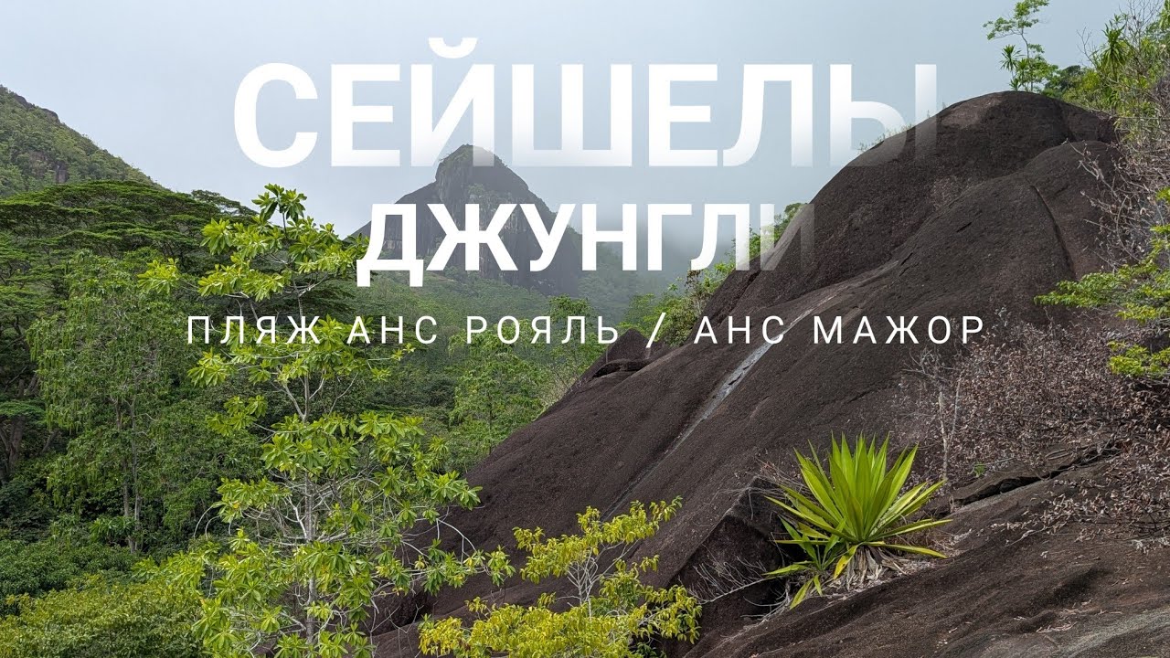 Сейшелы - пляжи Анс Рояль и Анс Мажор. Хайкинг по джунглям. Гипермаркет на Сейшелах