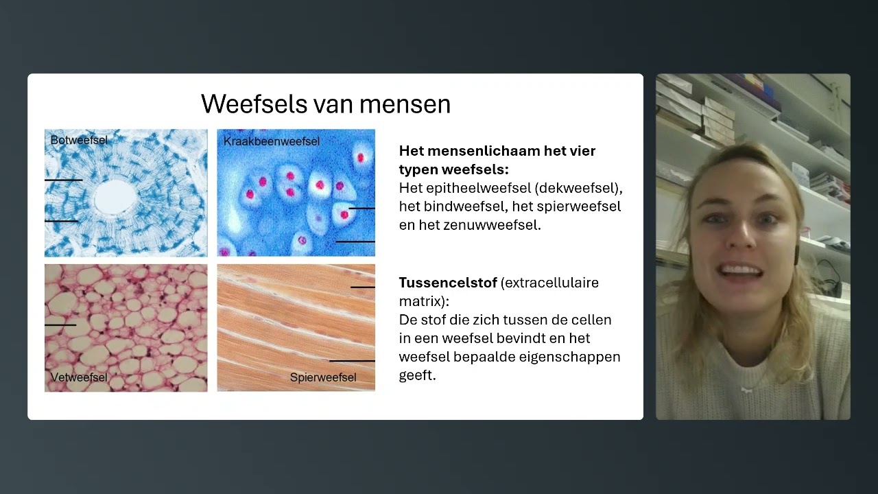 HV1 - Biologie voor Jou - 2.3: Weefsels