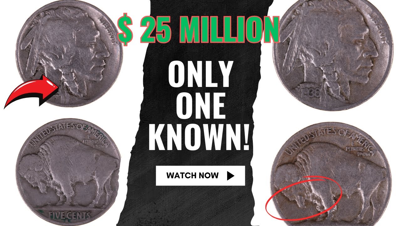 1913 NICKELS THAT ARE WORTH MONEY! | 1913 Buffalo Nickel: The Most Valuable Coins