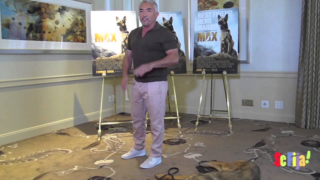 Cesar Millan, Behaviorist and “Max” the Movie