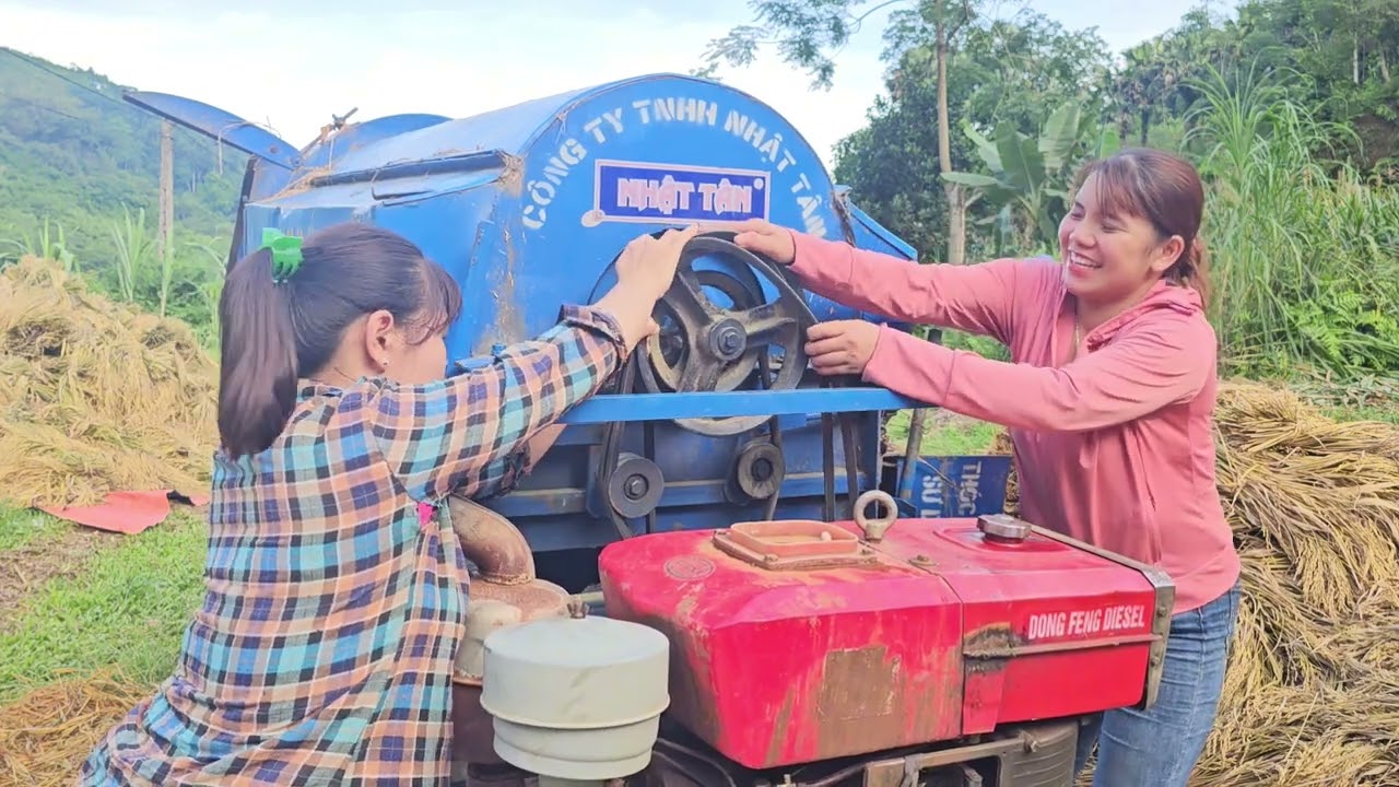 2 Girls go to harvest rice, farmers harvest rice.
