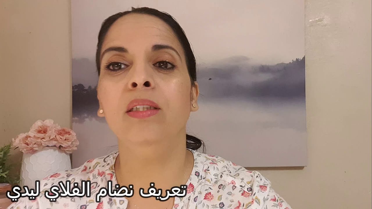 تعريف نضام الفلاي ليدي
