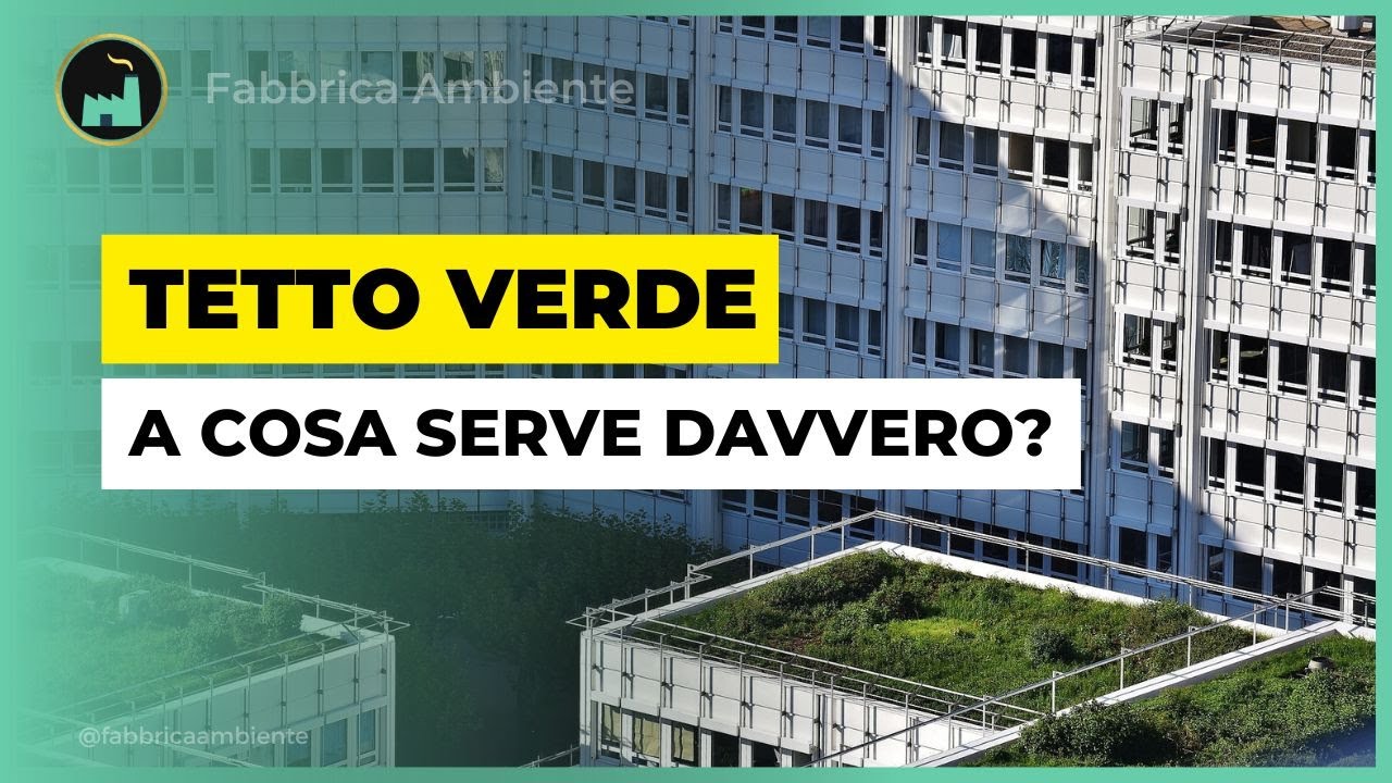 A Cosa Serve Un Tetto Verde: Le Due Cose Più Importanti Da Ricordare Perché Sia Davvero Utile