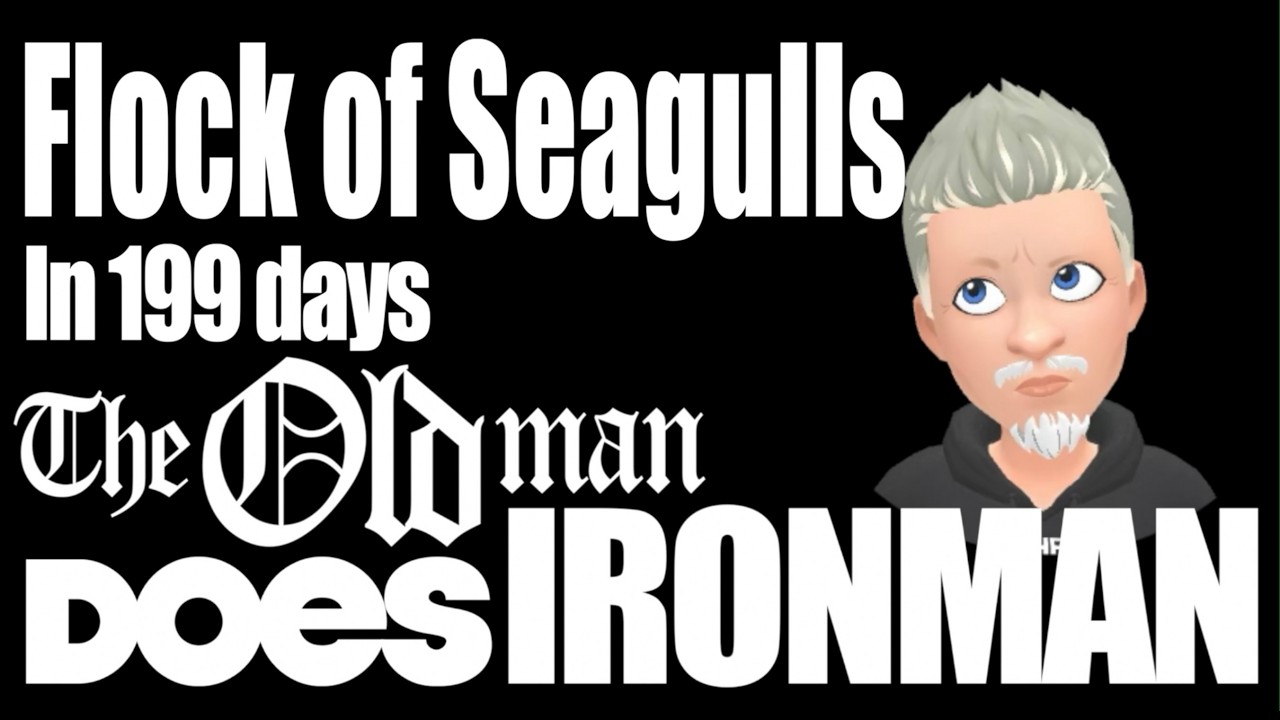 199 to go: Flock of Seagulls