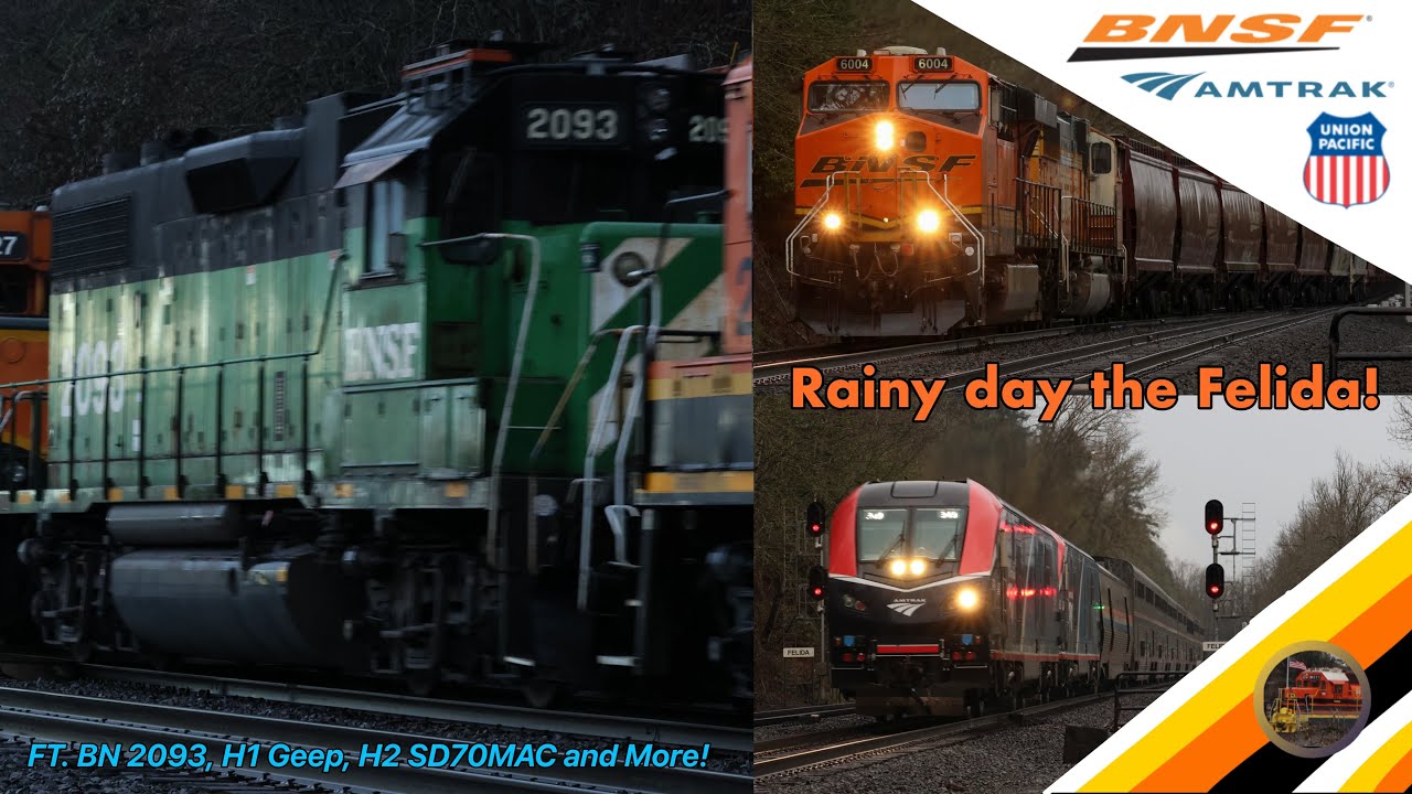Rainy day in Felida- 02/08/26