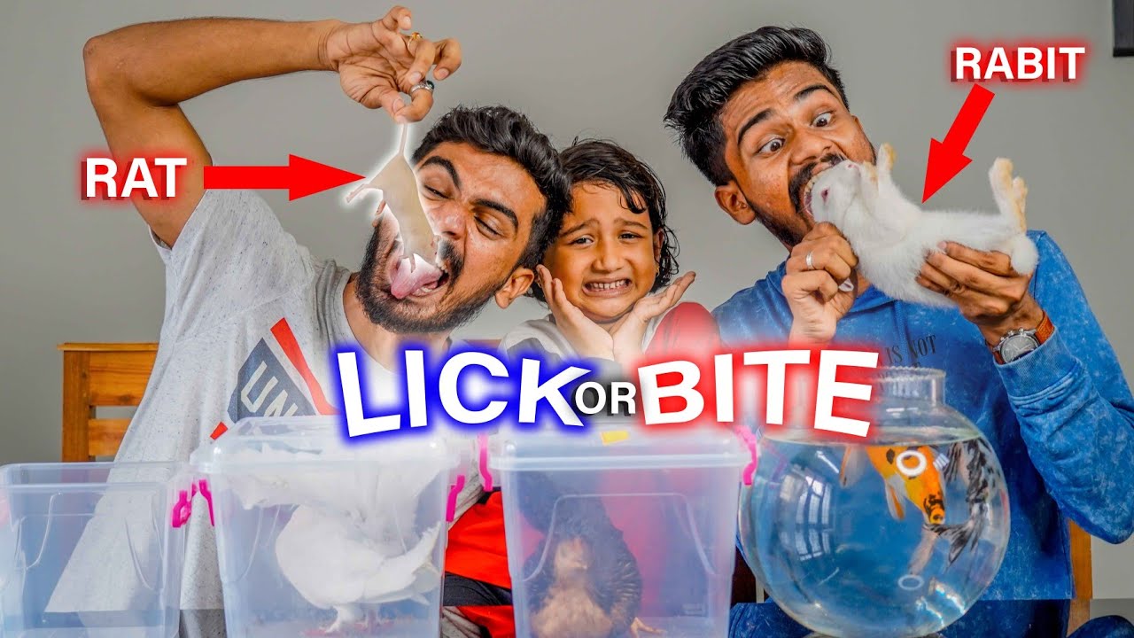 എലിയെ കഴിപ്പിച്ചു 🤮 live animals lick or bite!!😱
