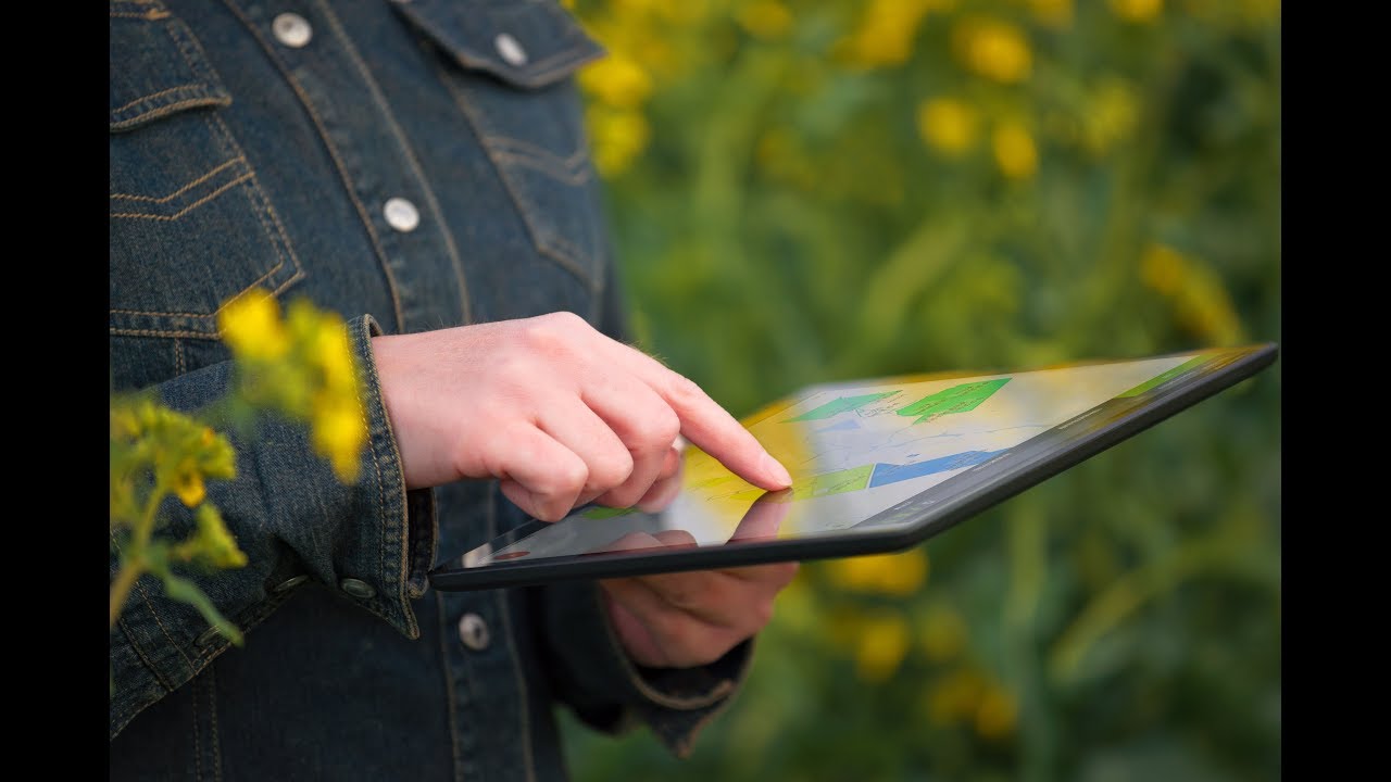 AP AGRONOMIST - ІТ-інструмент №1 для сучасного агронома!