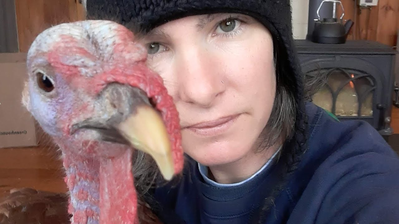 A farm loss that stings.. and it was my fault.