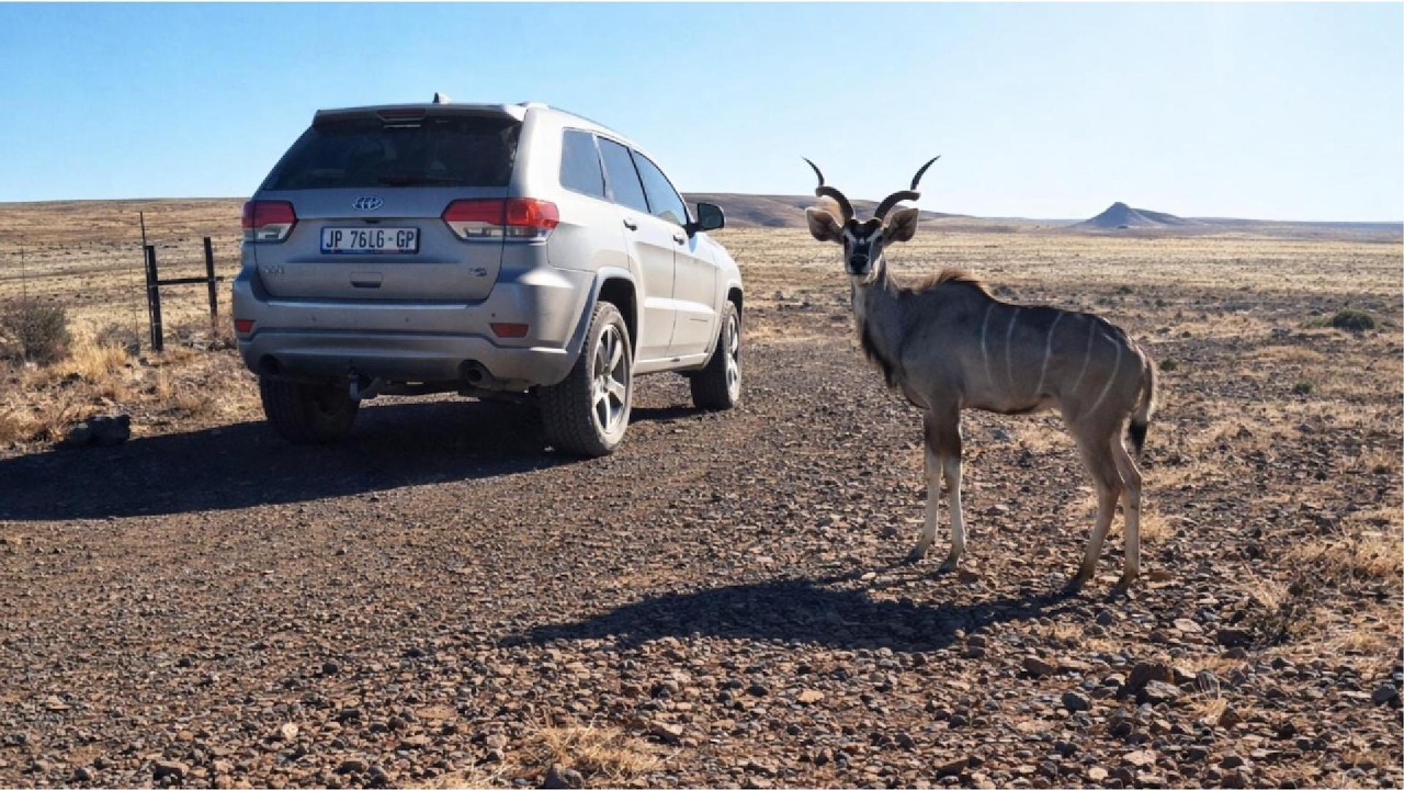 Part 2: Dust & Stars: An Overland Journey Through the Karoo.