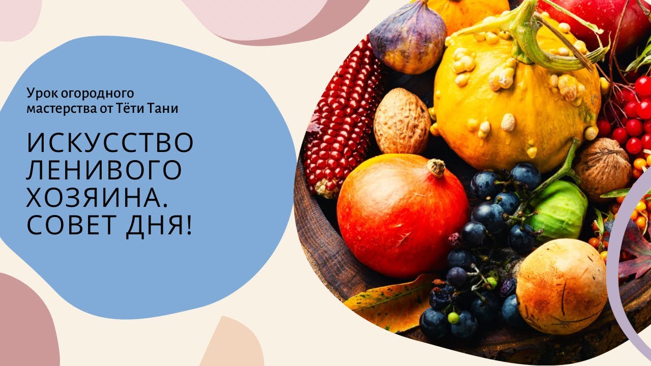 «Искусство ленивого хозяина».