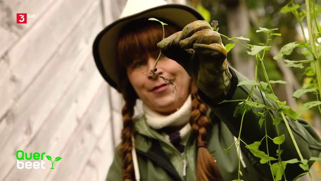 Querbeet: Beerentee und Staudenpflege Doku (2020)
