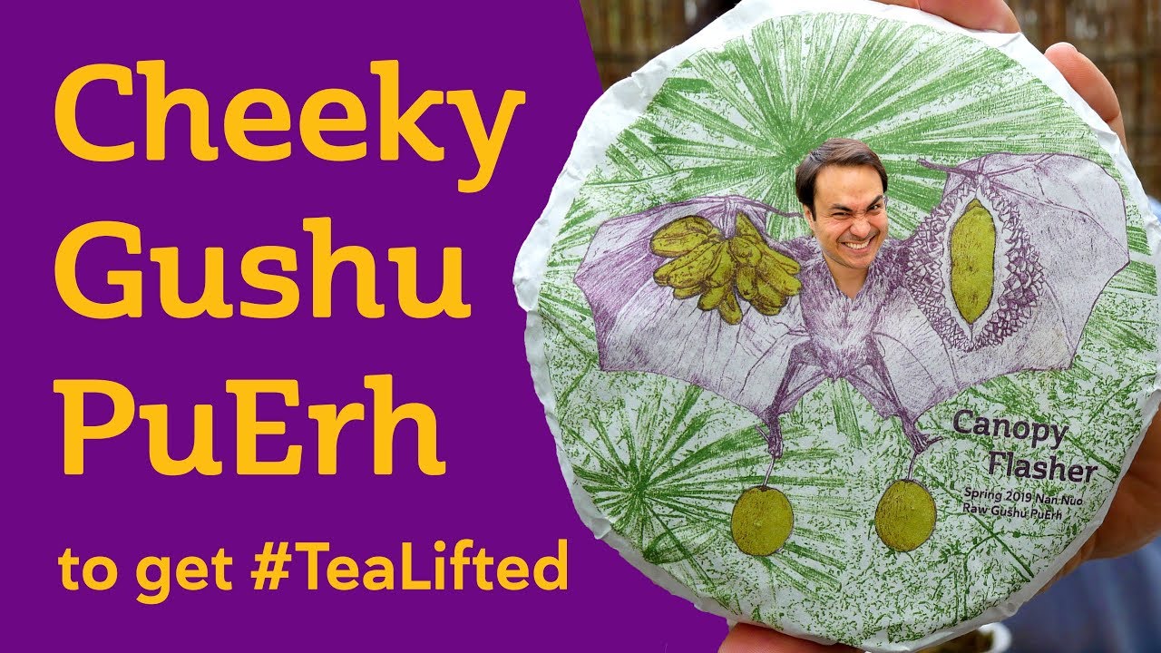 CANOPY FLASHER - Cheeky Gushu PuErh Tea