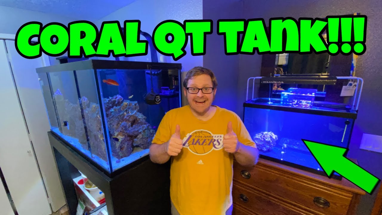 Setting Up Another Saltwater Quarantine Aquarium, THIS WILL BE FOR CORAL!