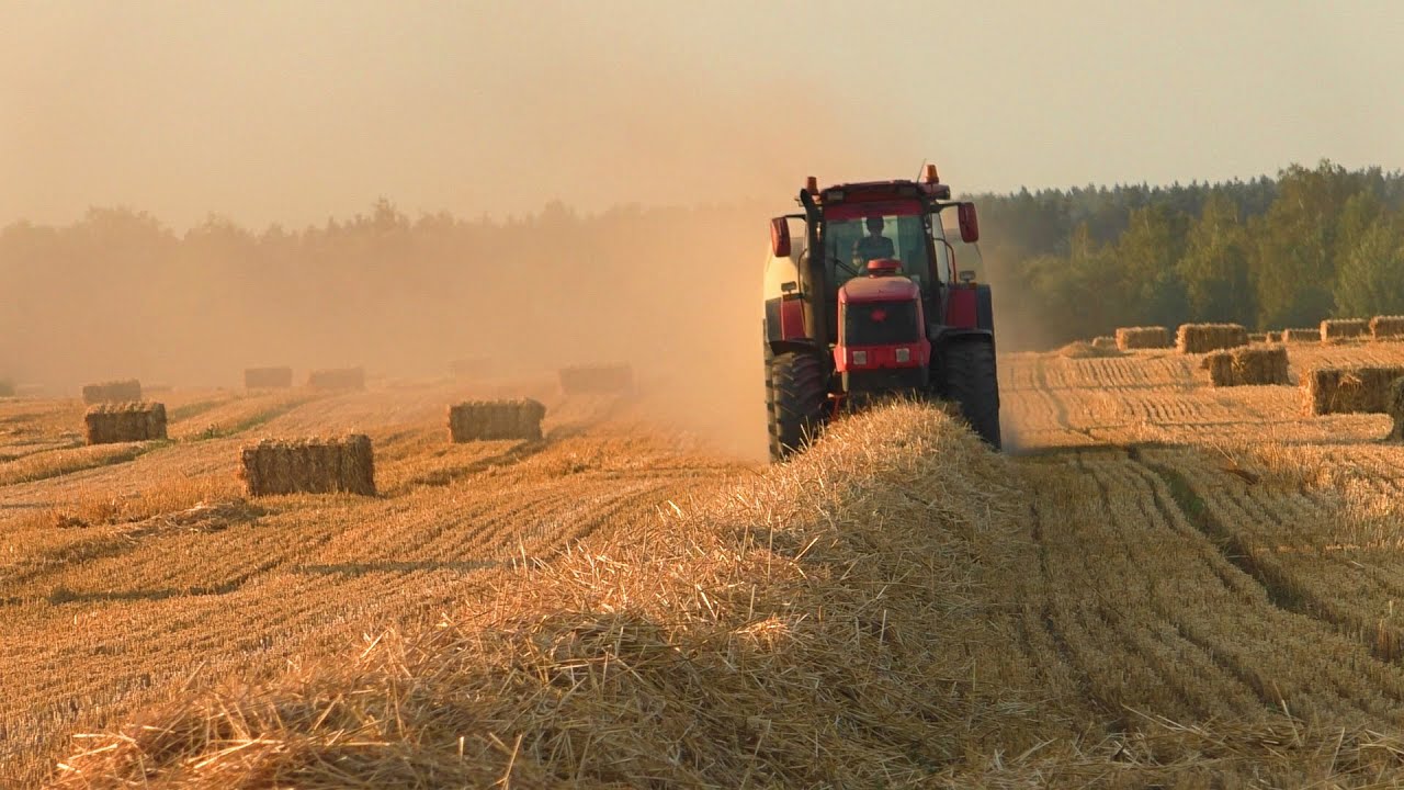 прессование соломы MTZ 3022 /Krone BigPack 1270. 2020