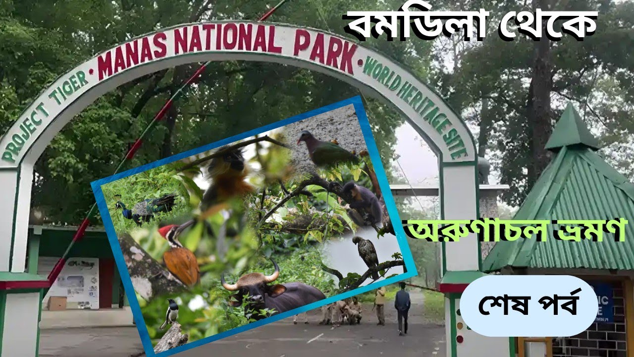 Bomdila to Manas National Park,Assam | বমডিলা থেকে মানস জাতীয় উদ্যান | জঙ্গল সাফারি 