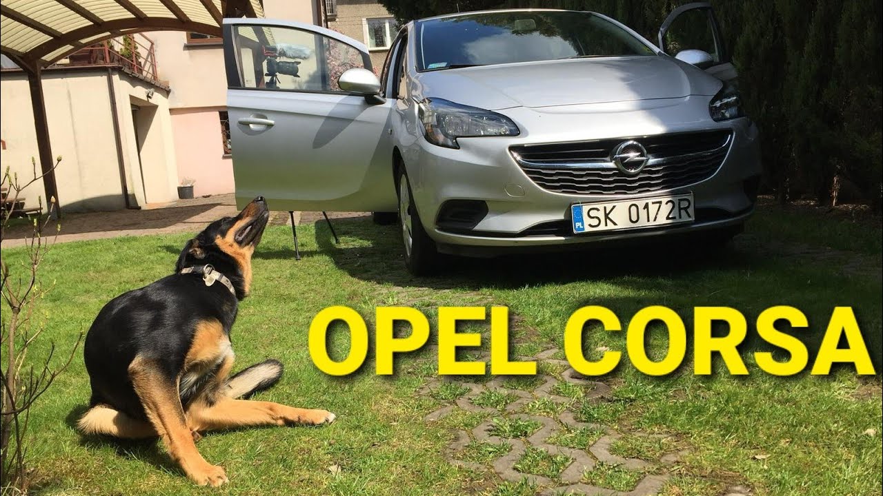 Opel Corsa E, Mały miejski samoch&oacute;d? Czy naprawdę warto go kupić? Prezentacja/test/jazda. 1440p.