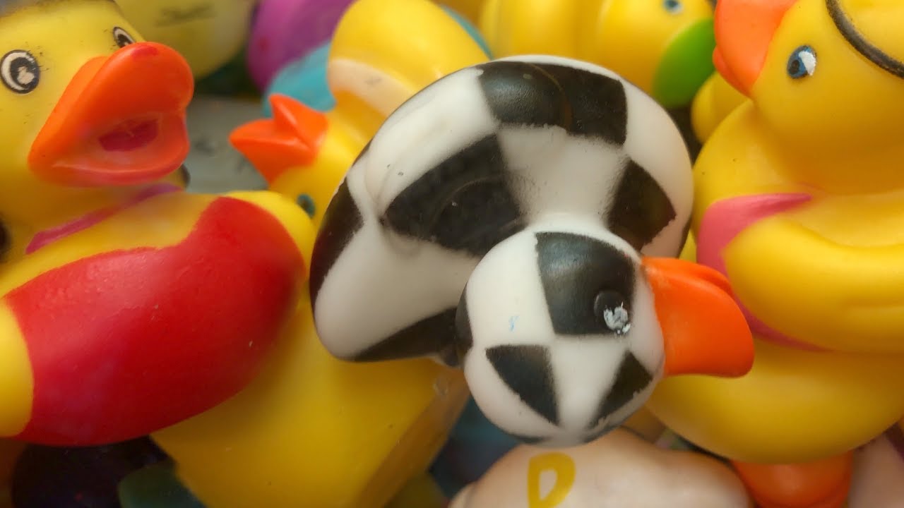 Play til you win Plucky Ducky machine!