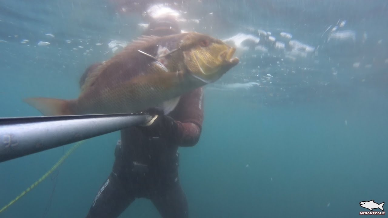 Pesca Submarina Denton.