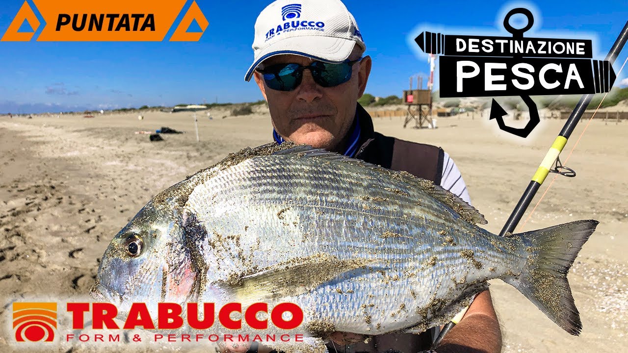 Mormore e Orate del Presidente - Surfcasting | Destinazione Pesca S2E3 | 