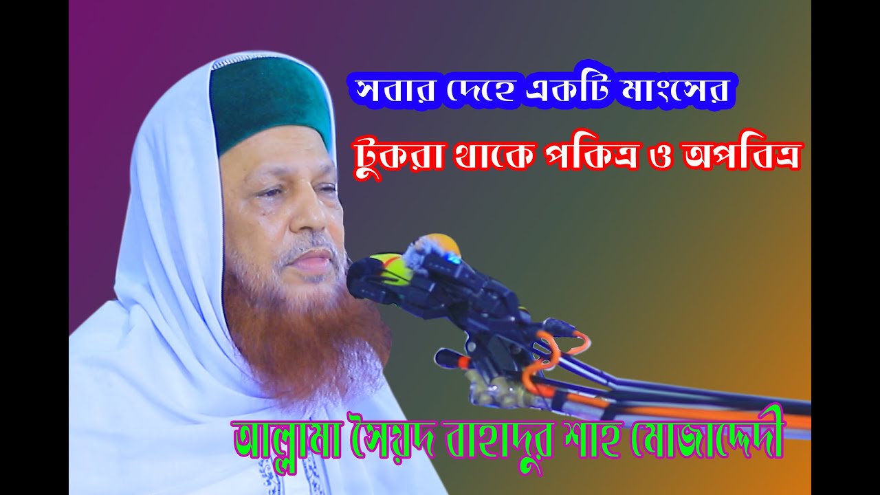 মানুষের দেহে একটি মাংসের টুকরা থাকে পবিত্র অপবিত্র  আল্লামা সৈয়দ বাহাদুর শাহ মোজাদ্দেদী