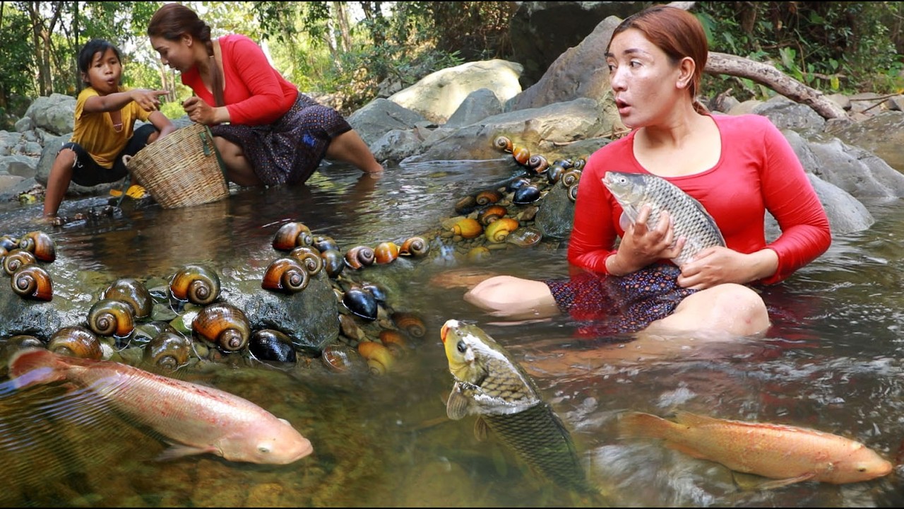 Catch red fish and snail for food/ Grilled red fish with salt & Cooking snail with spice for lunch