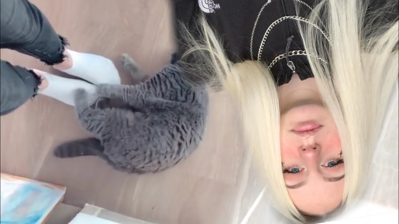Bianca Zennaro viene aggredita dal suo gatto