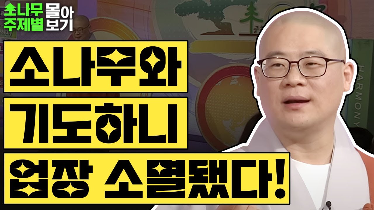 소나무 보고 기도하니 업장이 소멸됐어요 TOP3✨  [광우스님 소나무 주제별 몰아보기]
