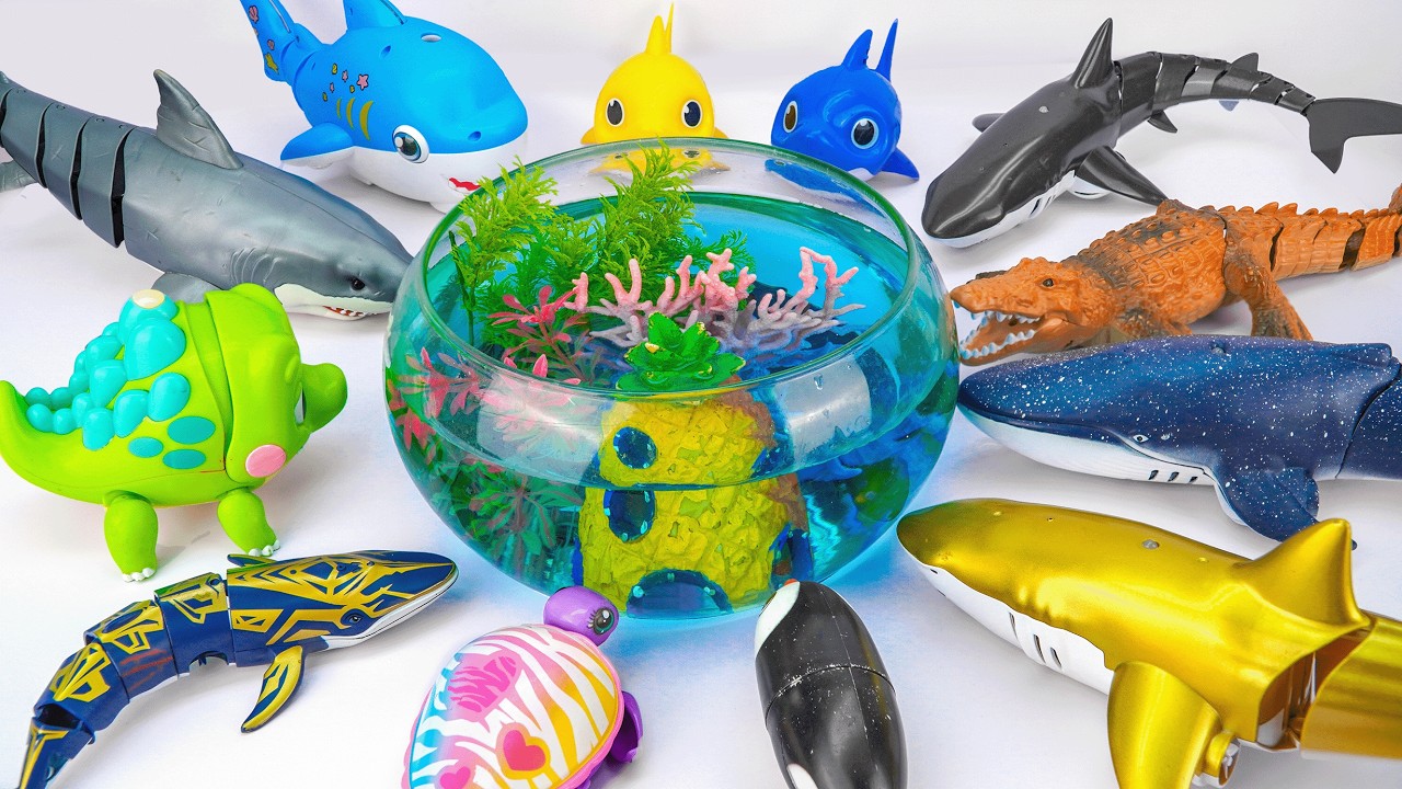 [🐳toy asmr🐋] Sea Turtle & Crocodile & Whale & Dolphin & Shark Toy Collection | Satisfying Unboxing