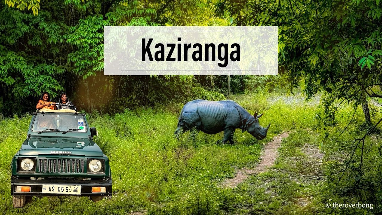 Kaziranga National Park || Kaziranga Jeep Safari || Complete Tour Guide