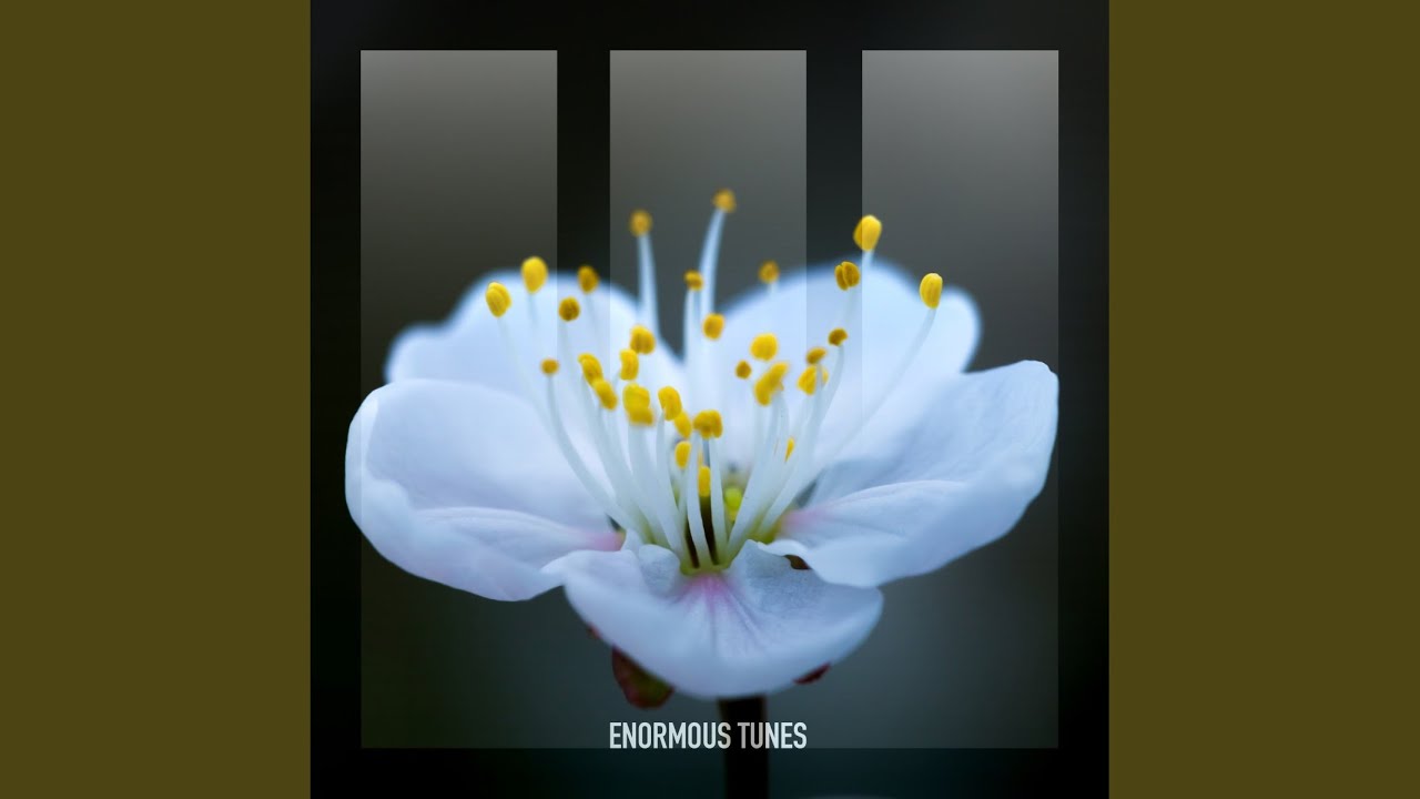 Nightingale (Extended Mix)