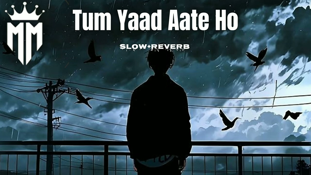 Tum Yaad Aate Ho– Slow + Reverb | Heart Touching