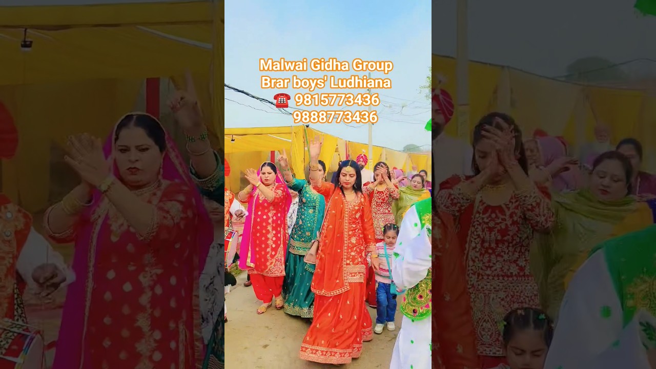 #ludhiana #wedding #boliyan #dance #live #malwaigiddhabooking