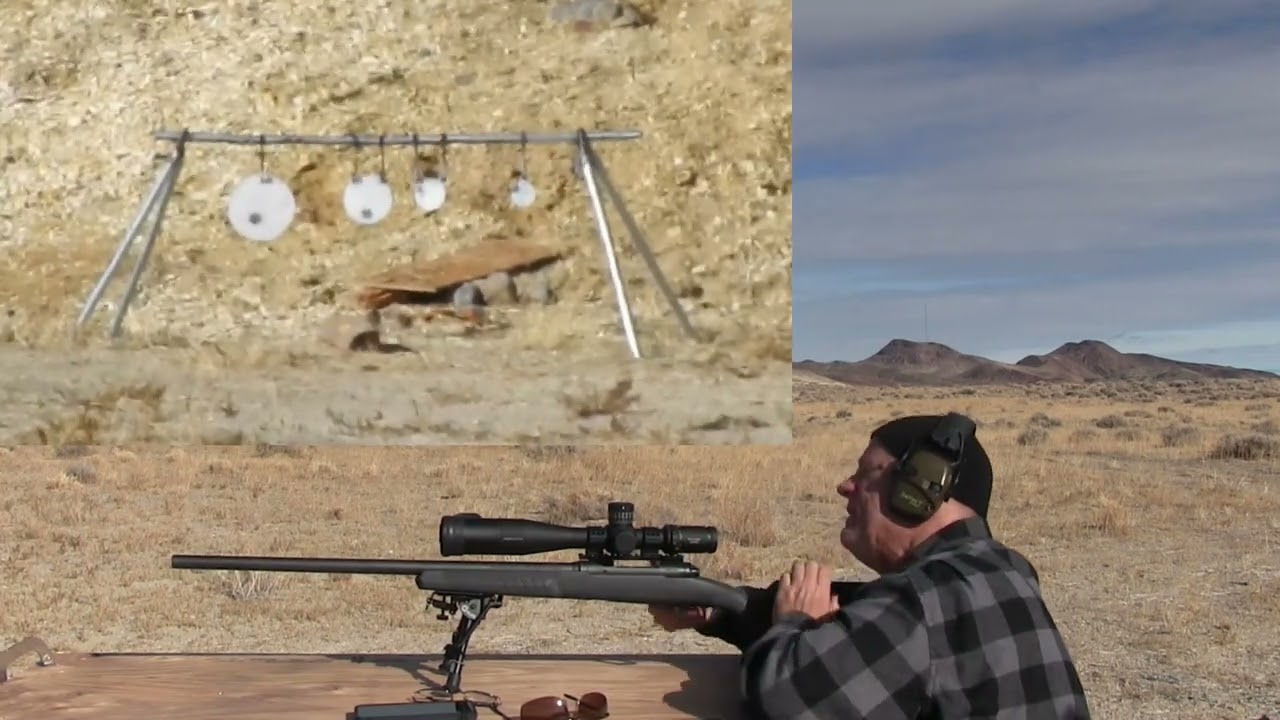 Savage 110  .223 at 300 Yards