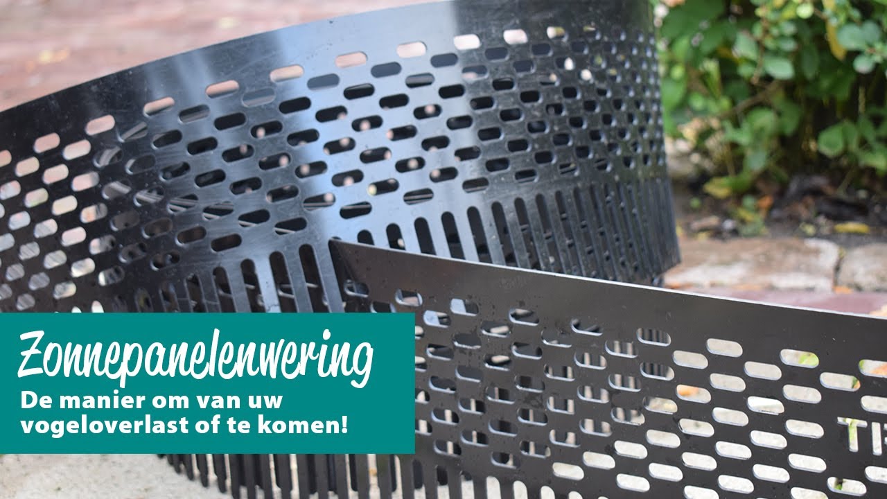 Last van vogels onder uw zonnepanelen?