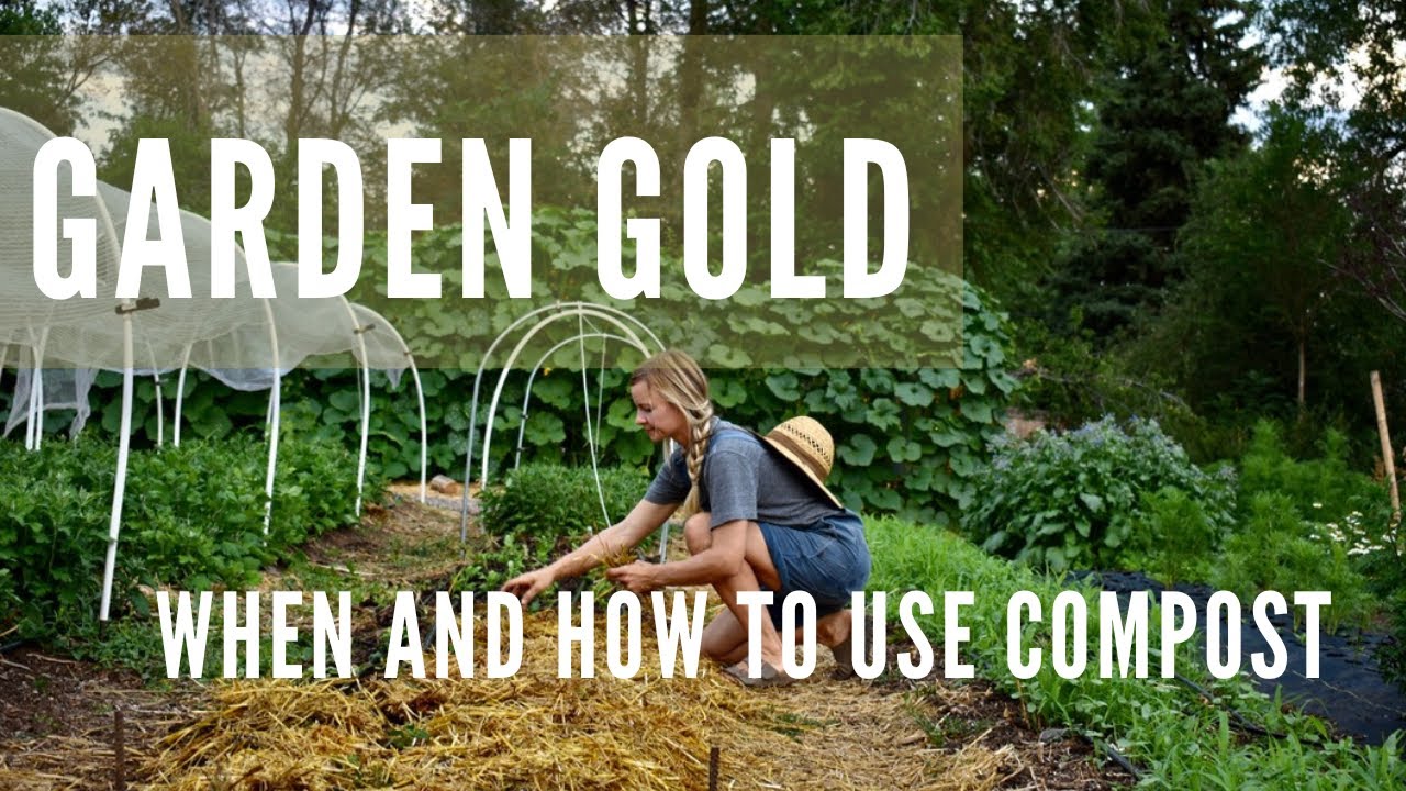 When and how to use compost in the garden?