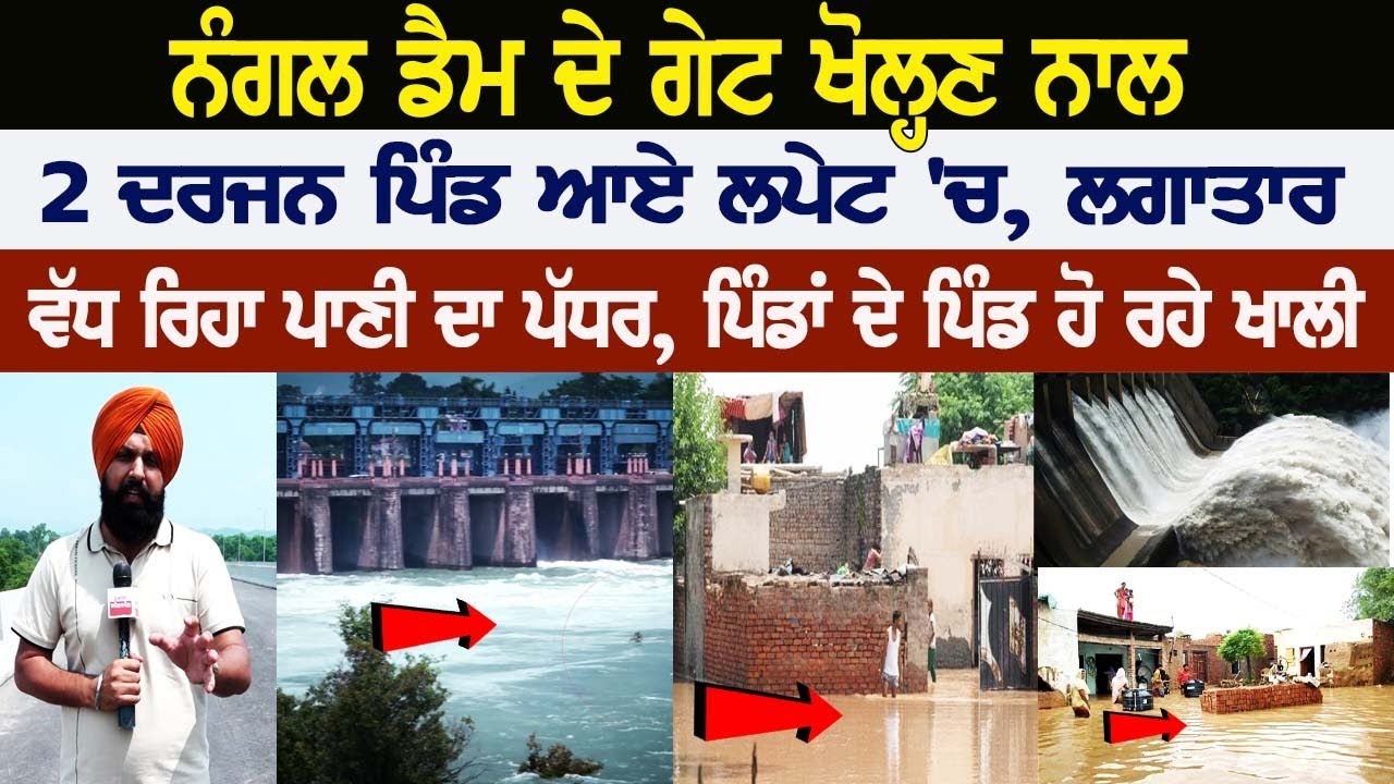 Nangal Dam ਦੇ Gate ਖੋਲ੍ਹਣ ਨਾਲ 2 ਦਰਜਨ ਪਿੰਡ ਆਏ ਲਪੇਟ 'ਚ, ਲਗਾਤਾਰ ਵੱਧ ਰਿਹਾ ਪਾਣੀ ਦਾ ਪੱਧਰ | Flood