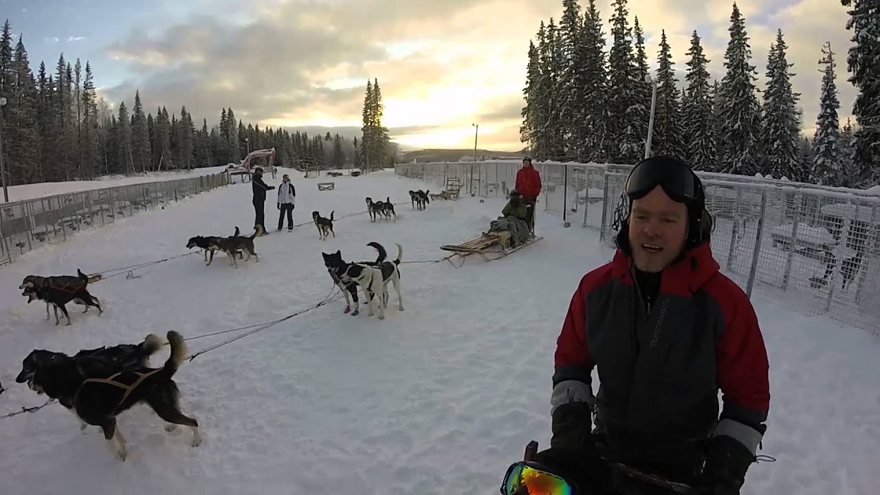 Hundspann del 1 - Undersåker, Åre