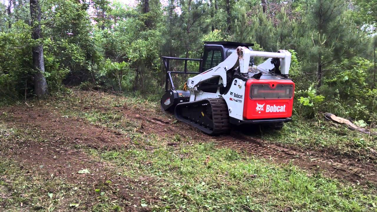 Clearing underbrush with bobcat forestry mulcher in Ruston, LA