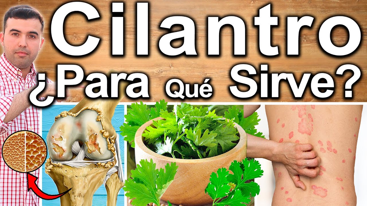 JUGO DE CILANTRO EN AYUNAS - Para Qué Sirve Y Beneficios Para Tu Salud y Belleza