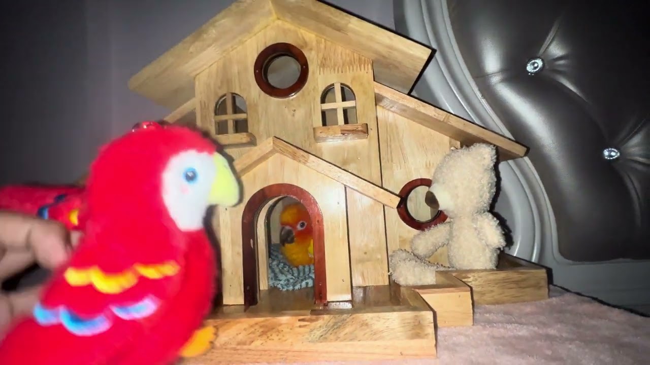 New house for Julie. 